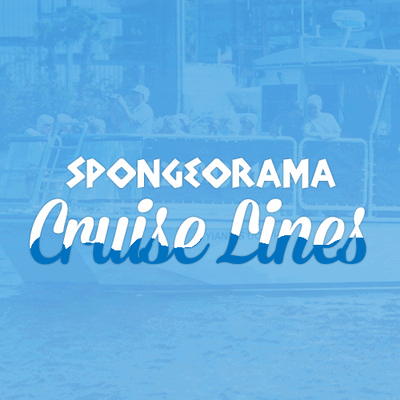spongeorama dolphin cruise