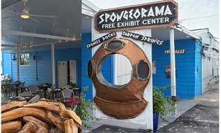 Vibrant Sponge Docks in Tarpon Springs with water activities, historic shops, and local restaurants showcasing Greek culture. A popular tourist destination for sponge diving history and waterfront experiences.