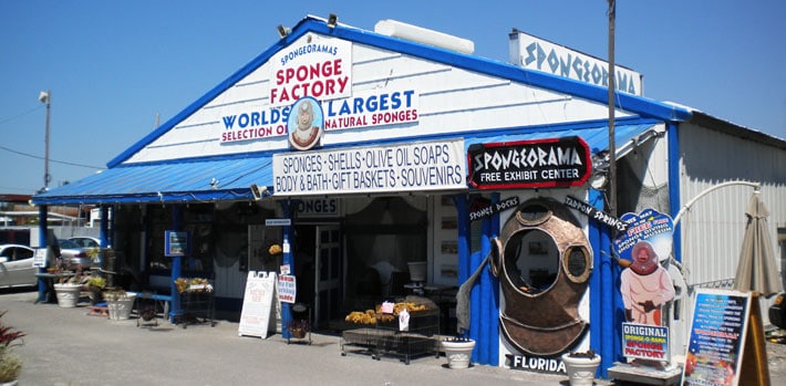 spongeorama sponge factory