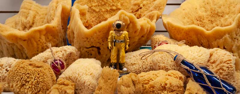 Sponges and Sponge Diver
