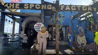 The Sponge Factory